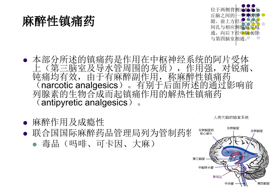 药物化学中枢神经镇痛药_第3页