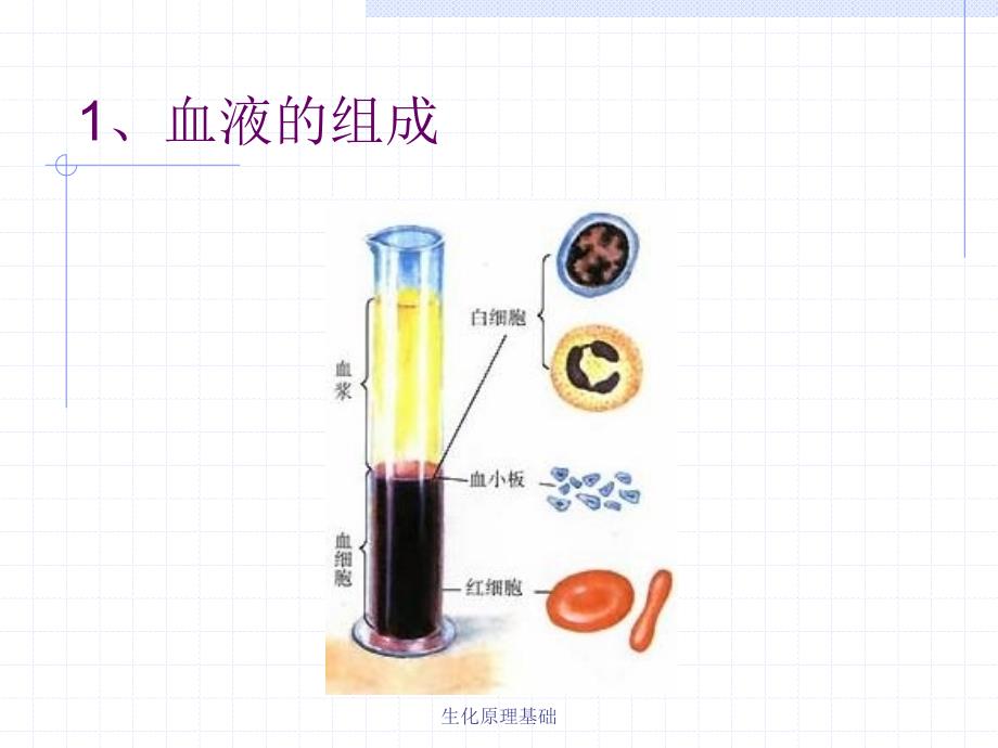 生化原理基础课件_第4页