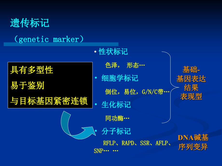 十三分子标记及基因芯片技术应用_第2页