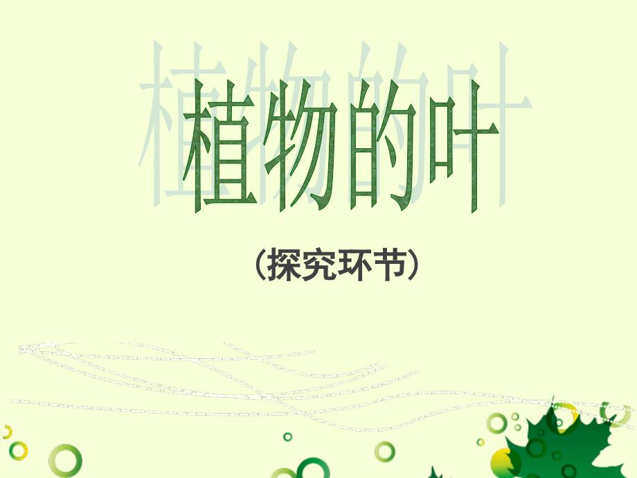 青岛版小学四年级科学上册《植物的叶》课件_第1页