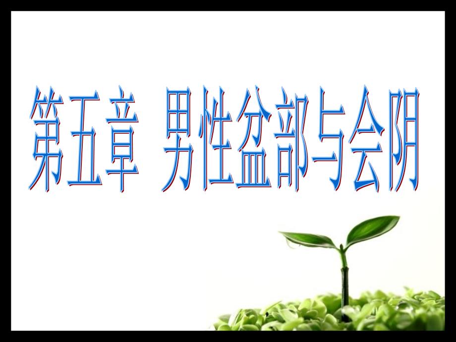 男性盆部断层解剖一概述最终_第1页
