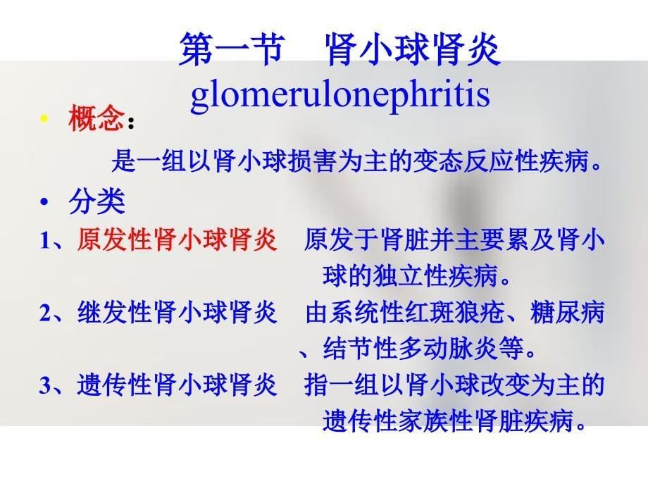 病理学第八泌尿系统疾病_第5页