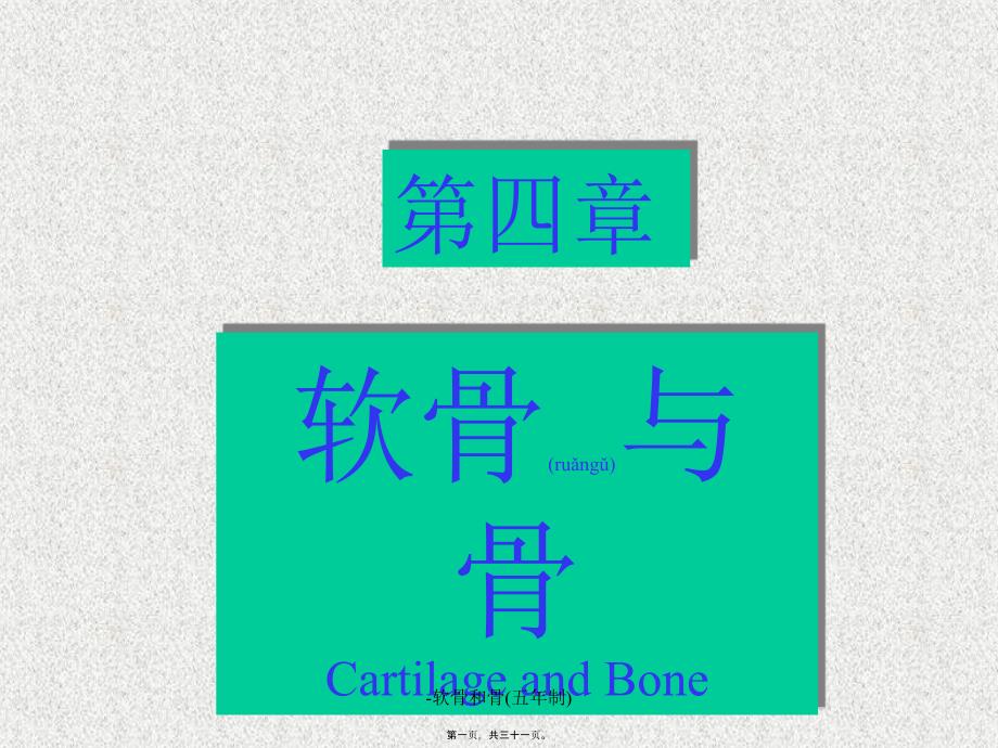 软骨和骨五年制课件_第1页