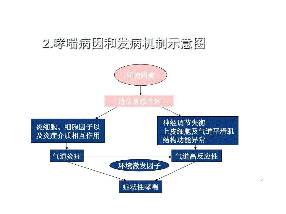 节支气管哮喘病人的护理_第5页