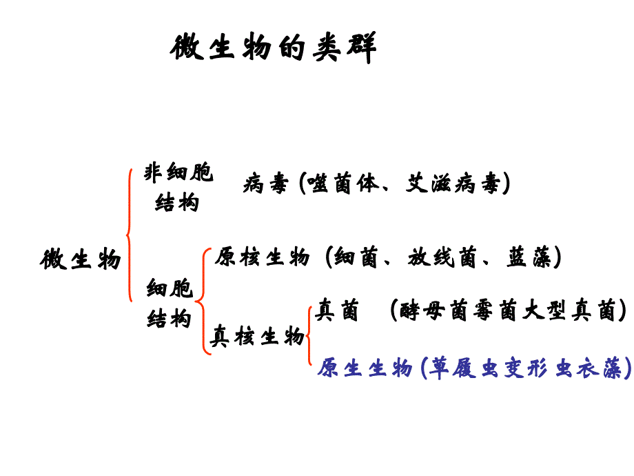 微生物的培养和分离_第2页