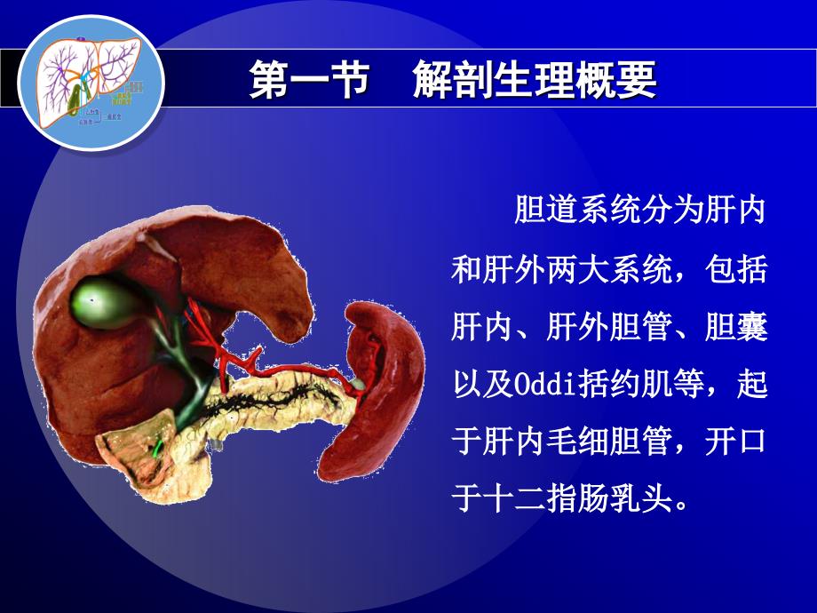 第二十三章胆石症liu1_第4页