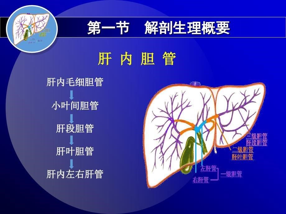 第二十三章胆石症liu1_第5页