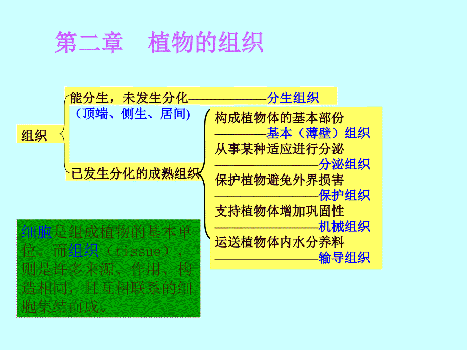 第二章植物的组织课件_第1页