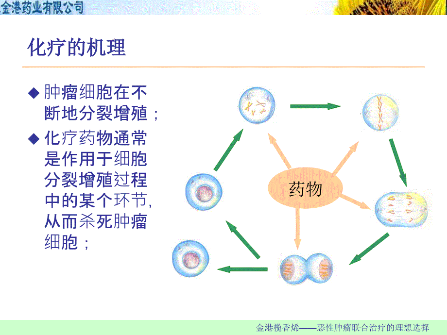 肿瘤化疗常见不良反应与处理_第2页