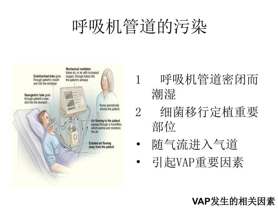 VAp的预防护理_第5页