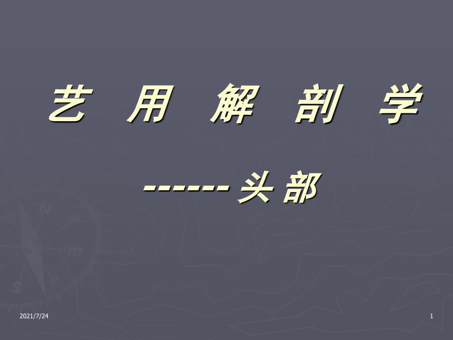 2.艺用解剖学头部结构PPT课件_第1页