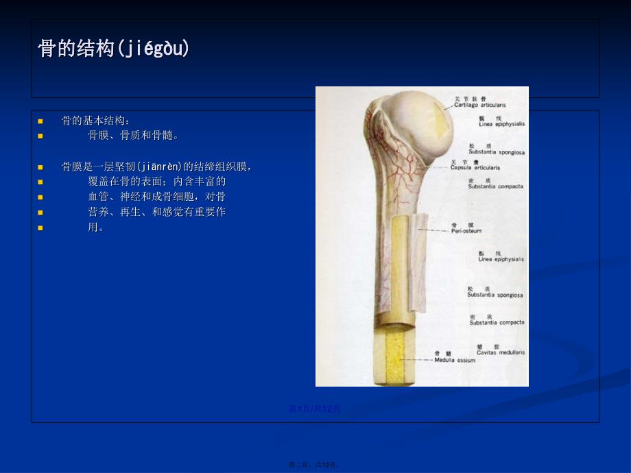 四肢骨折的手术配合演示文稿学习教案_第2页