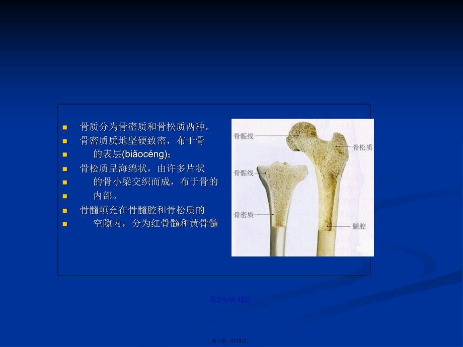 四肢骨折的手术配合演示文稿学习教案_第3页