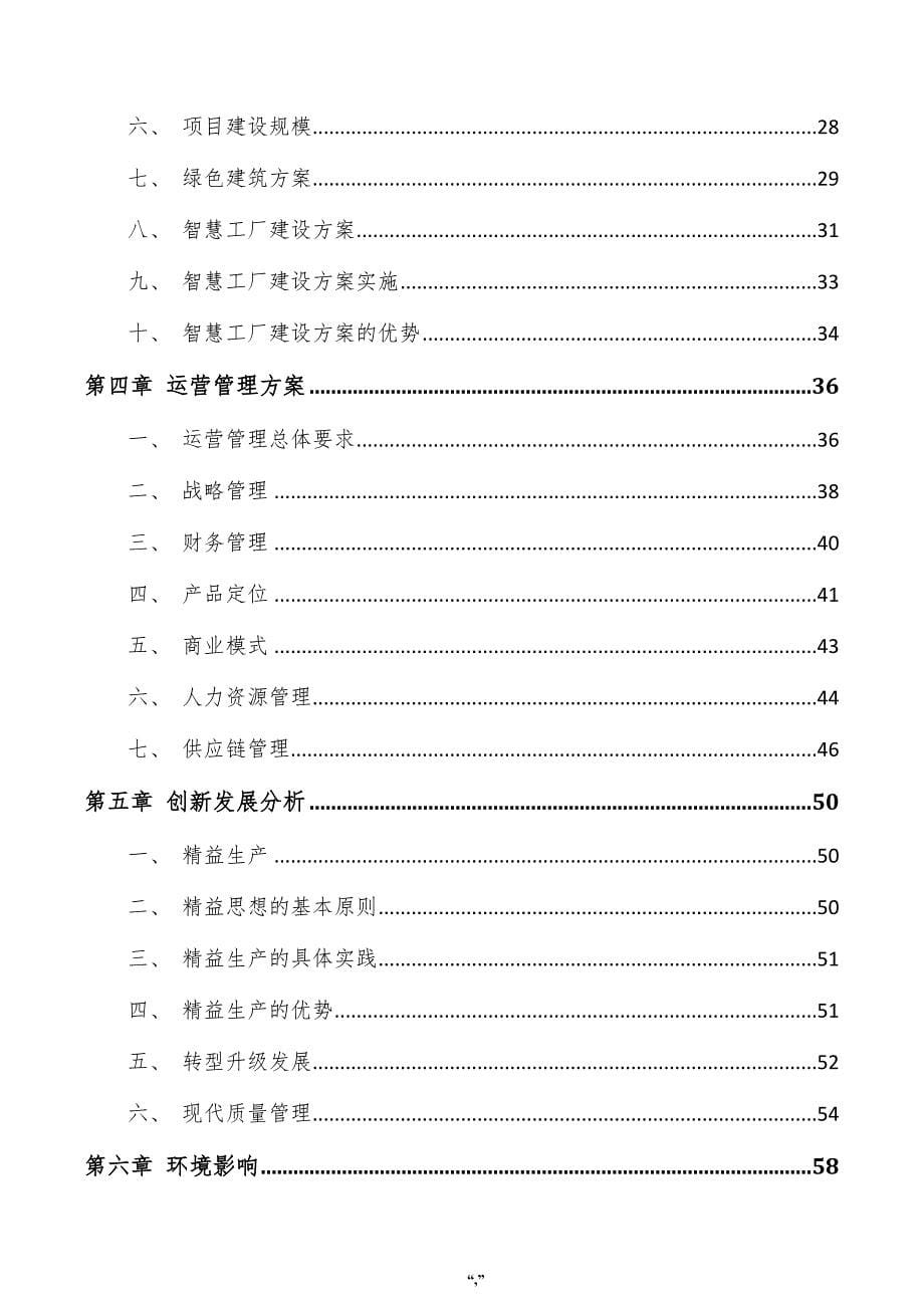 聚酰胺装置项目投资分析报告（参考范文）_第5页