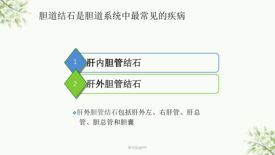 胆总管结石护理查房 课件_第3页