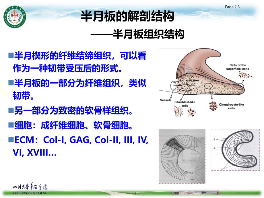 半月板损伤的诊治_第3页