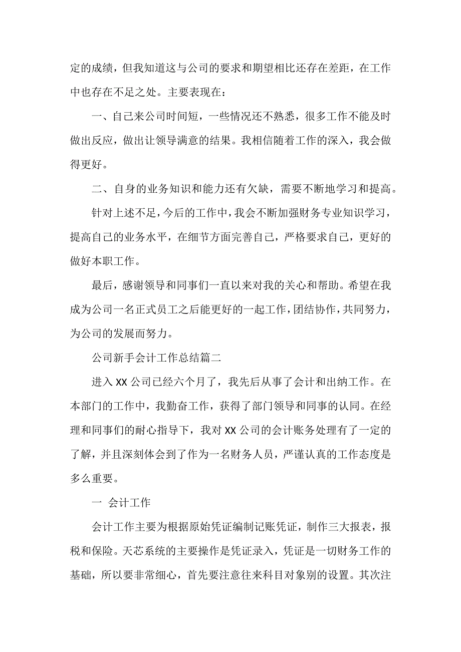 公司新手会计工作总结_第2页