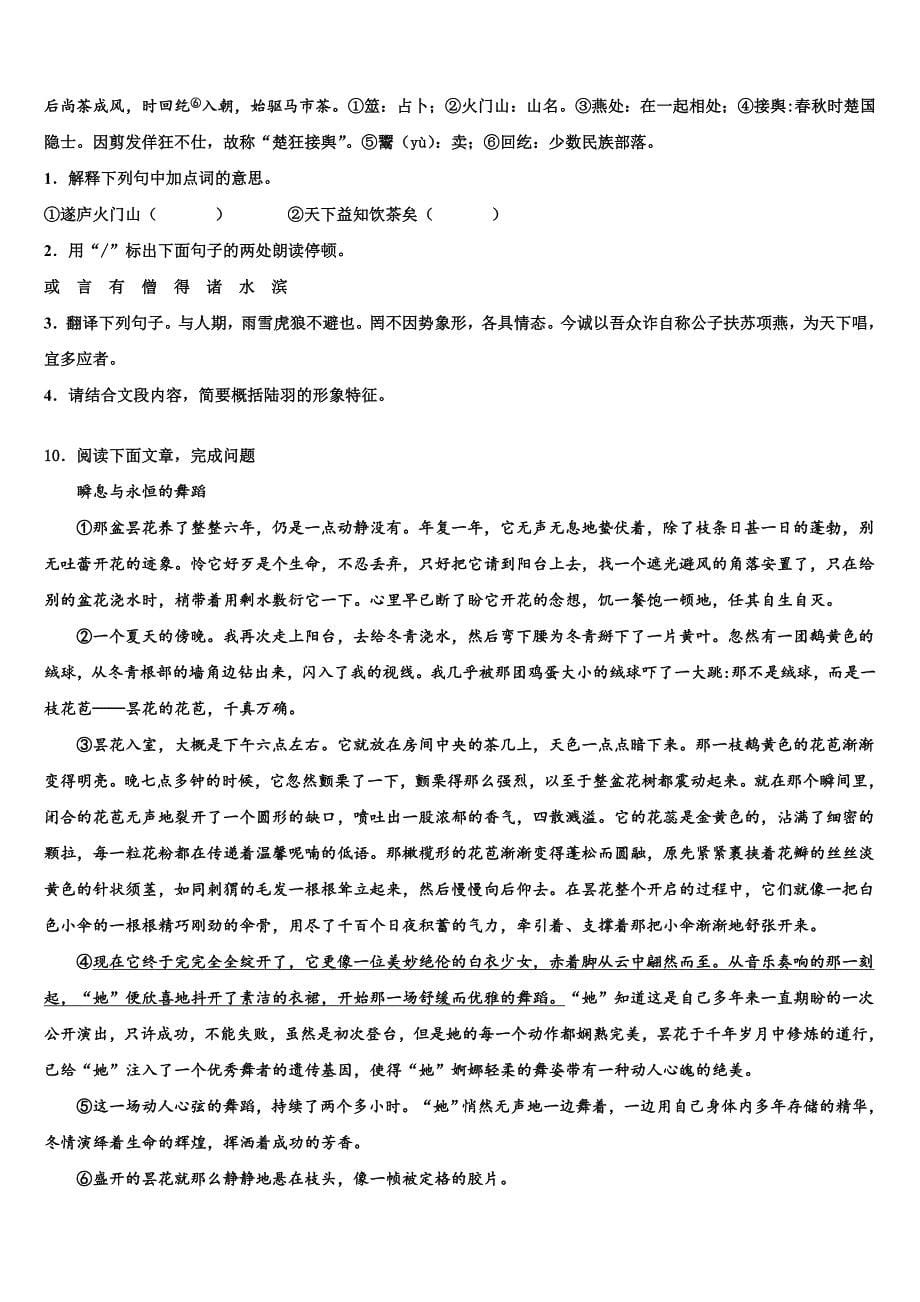 2022-2023学年甘肃省陇南市达标名校中考语文适应性模拟试题含解析_第5页