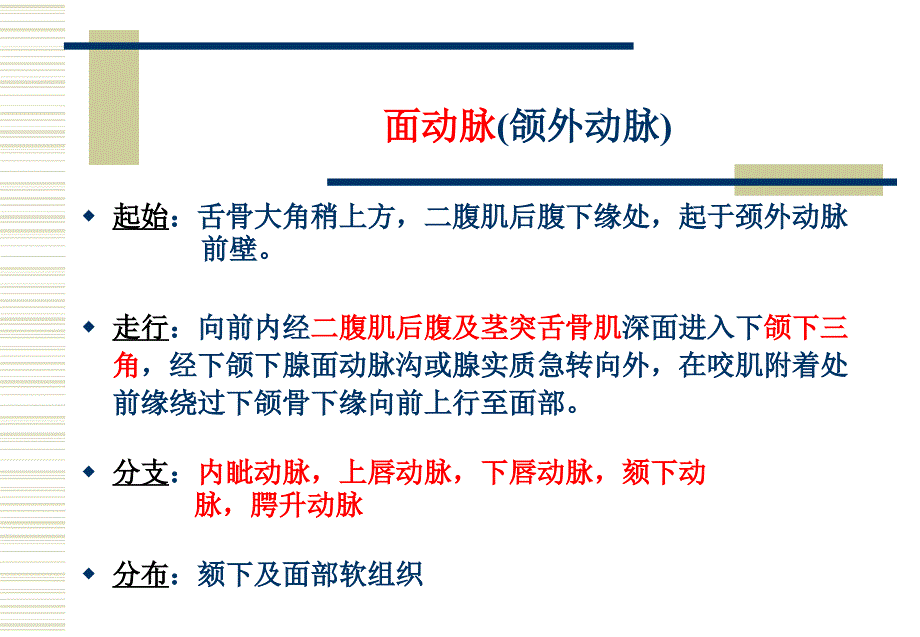 医学教学课件：第八章面颈部血管（2）及第九章淋巴_第2页