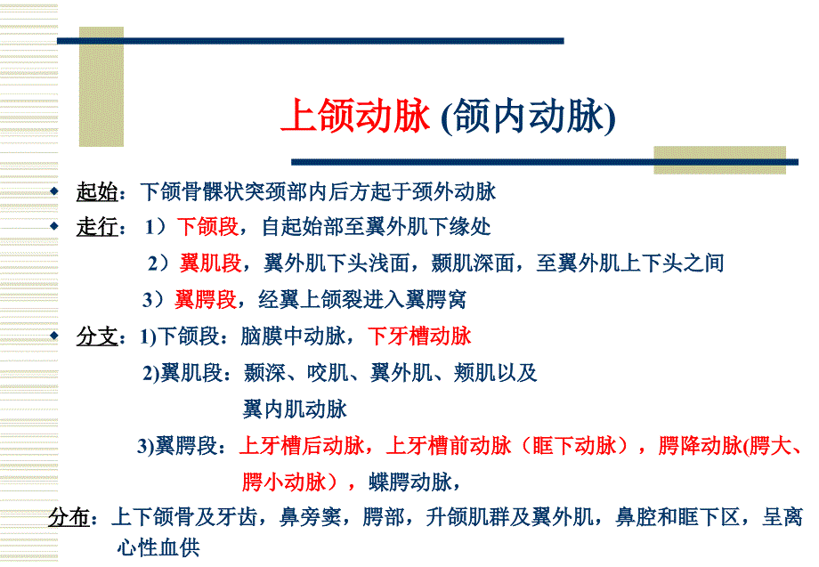 医学教学课件：第八章面颈部血管（2）及第九章淋巴_第3页