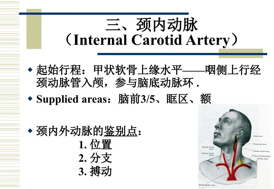 医学教学课件：第八章面颈部血管（2）及第九章淋巴_第4页