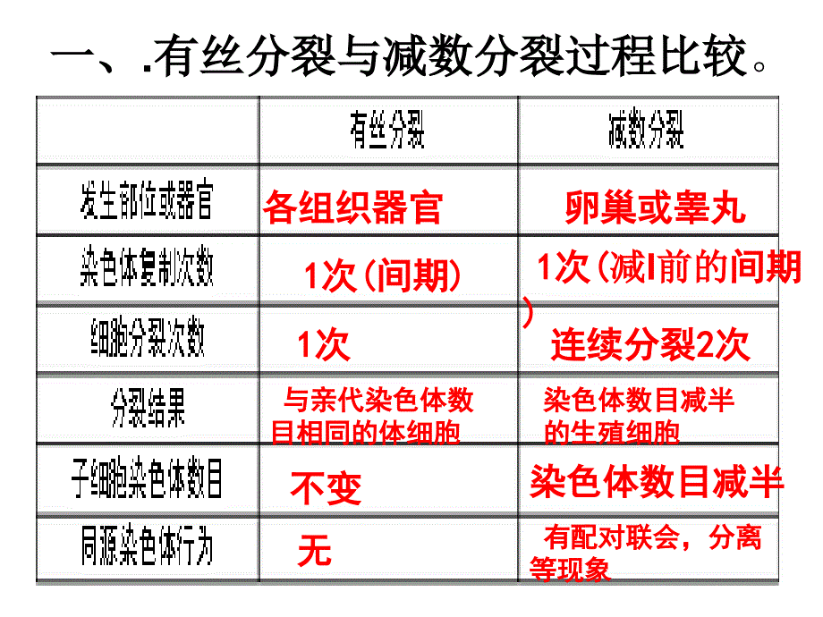 减数分裂与有丝分裂的区别_第2页