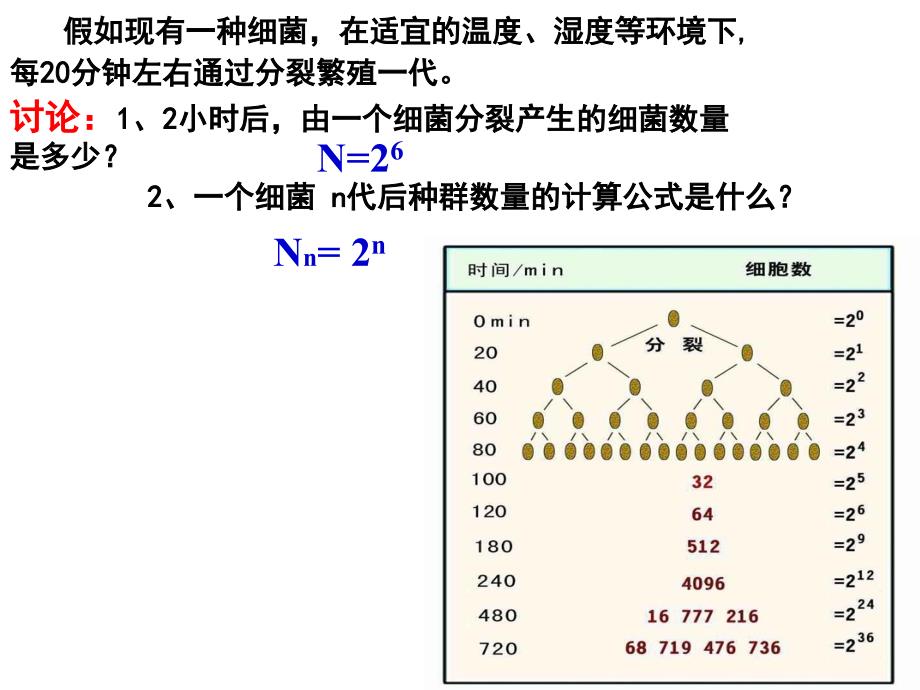 《种群数目增长规律》PPT课件_第2页