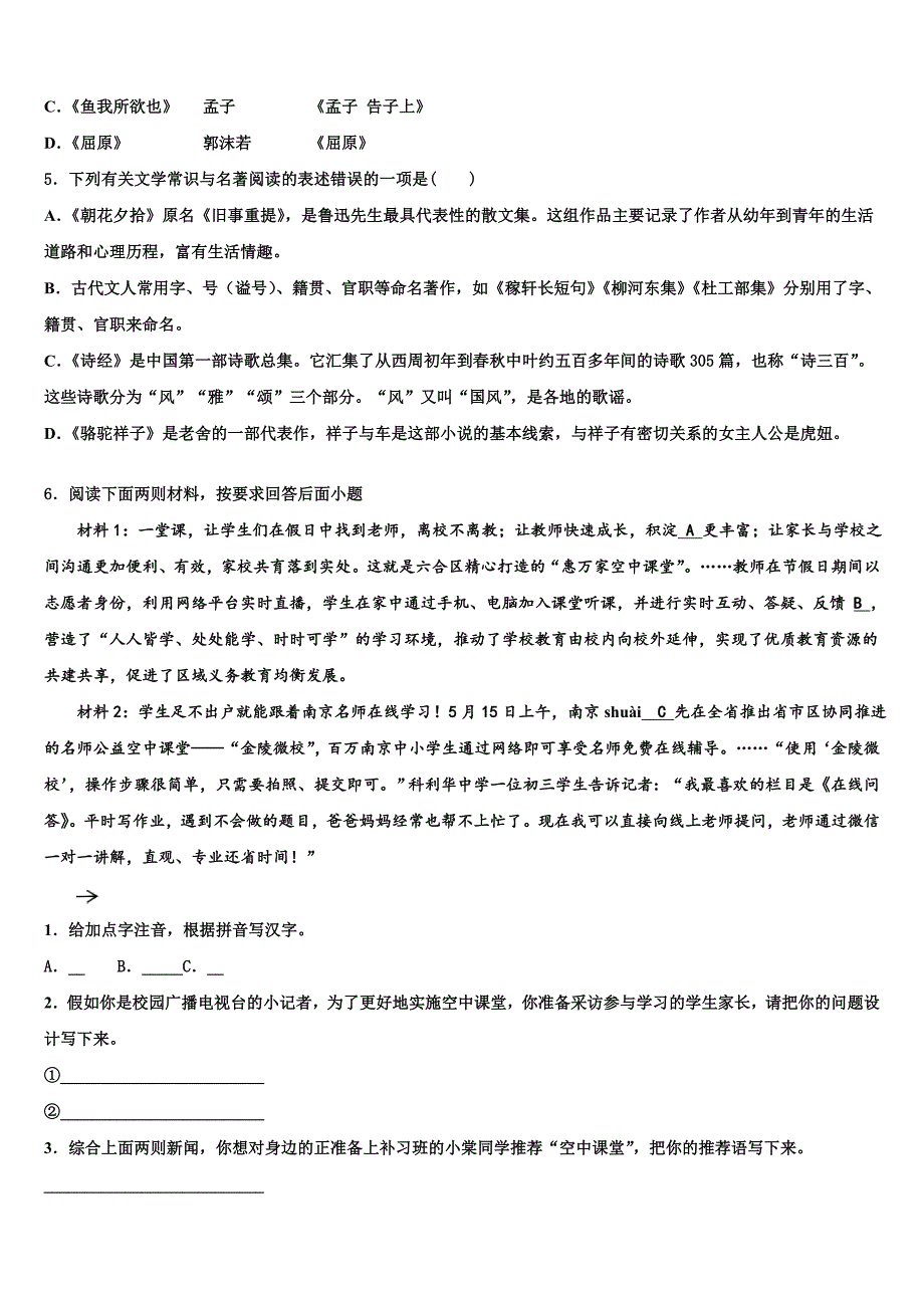 2022-2023学年大石桥市水源二中重点中学中考语文对点突破模拟试卷含解析_第2页