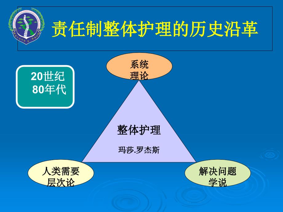 责任制整体护理与临床工作_第4页