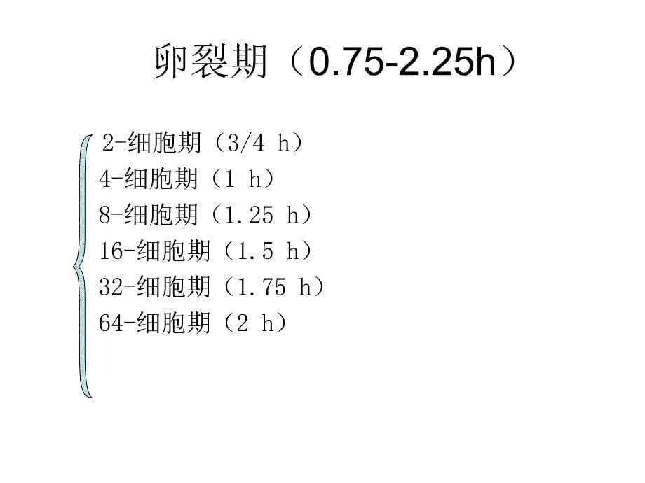 斑马鱼的发育历程_第5页