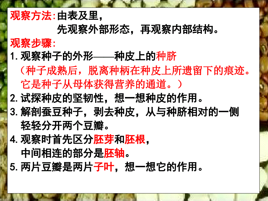 最新三年级科学下册二植物的生长4是什么在影响植物生长课件1_第3页