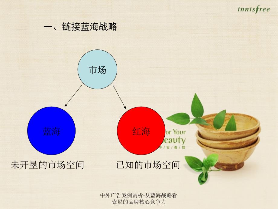 中外广告案例赏析-从蓝海战略看索尼的品牌核心竞争力课件_第4页