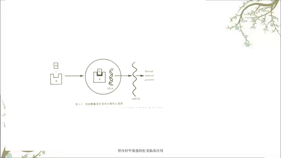 肾内科甲基强的松龙临床应用_第4页