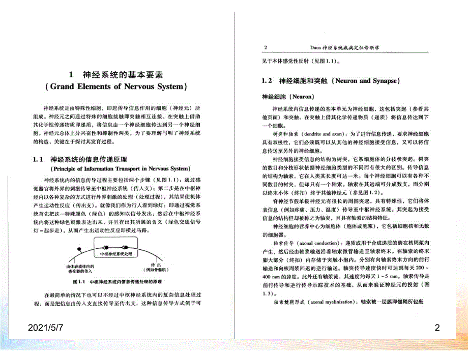 神经系统疾病神经系统的基本要素、感觉系统【课件PPT】_第2页