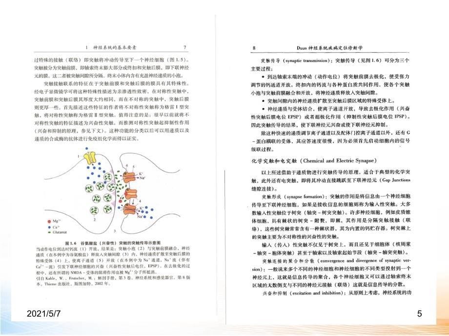 神经系统疾病神经系统的基本要素、感觉系统【课件PPT】_第5页