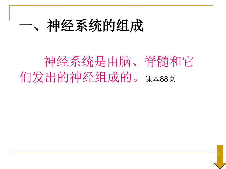 第二节神经系统的组成_第3页