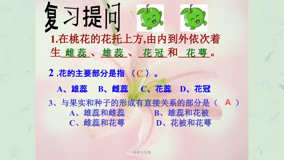 传粉与受精课件_第2页