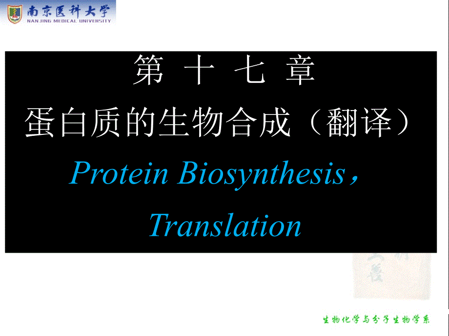 生物化学：第17章 蛋白质的生物合成（翻译）_第1页