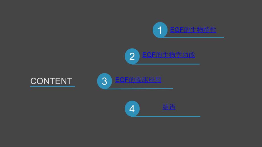 《表皮生长因子》PPT课件.ppt_第3页