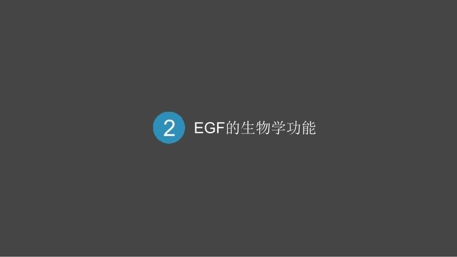 《表皮生长因子》PPT课件.ppt_第5页