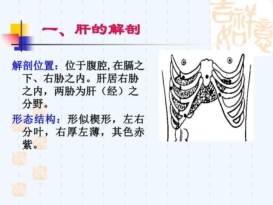 中医基础理论藏象肝_第5页