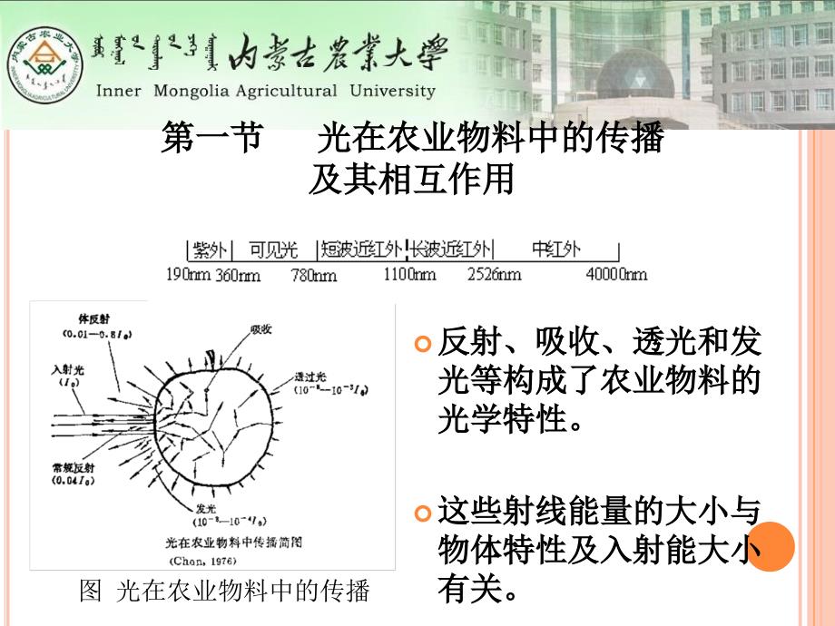 农业物料的光学特性2课件_第2页