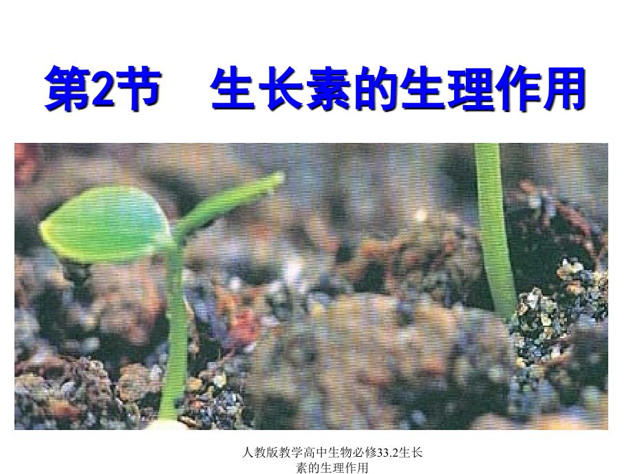 人教版教学高中生物必修33.2生长素的生理作用课件_第1页