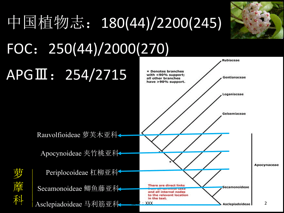 萝藦科植物简介PPT课件_第2页