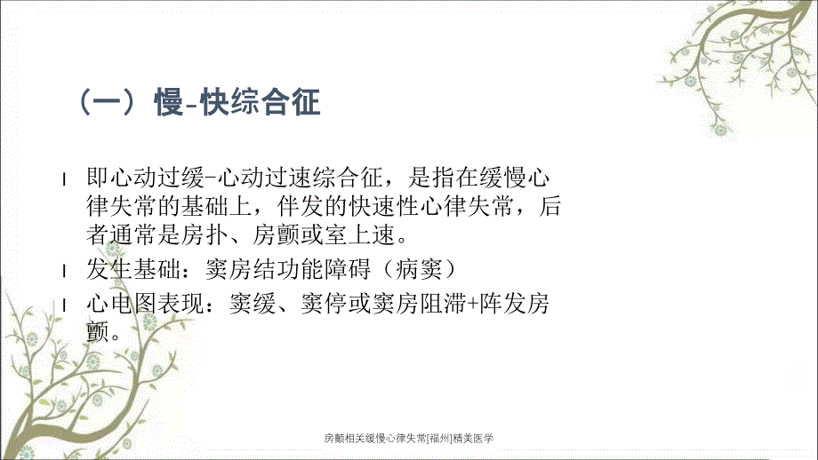 房颤相关缓慢心律失常福州精美医学课件_第4页