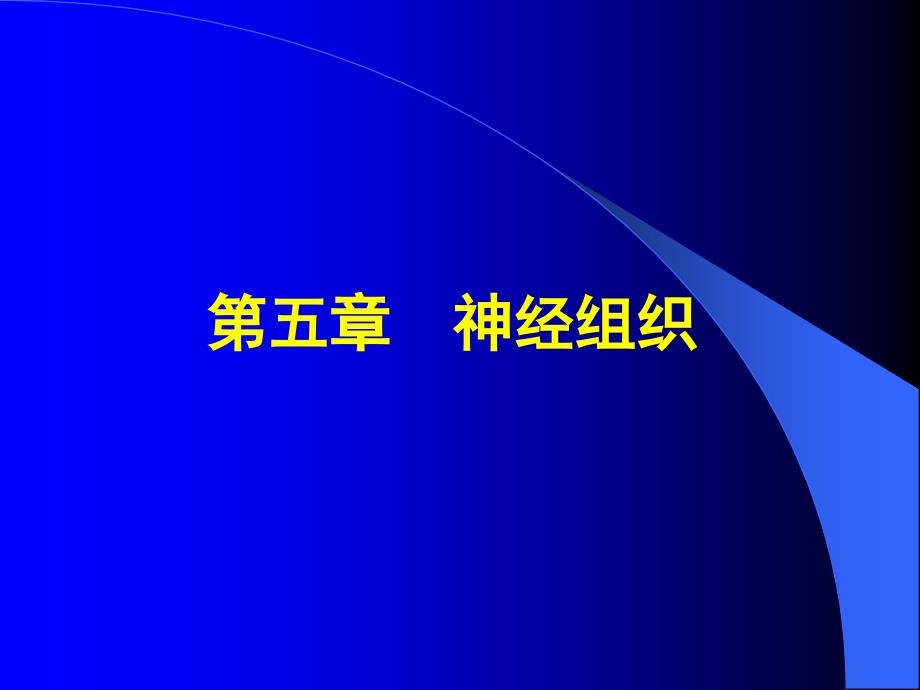 第五章神经组织_第1页