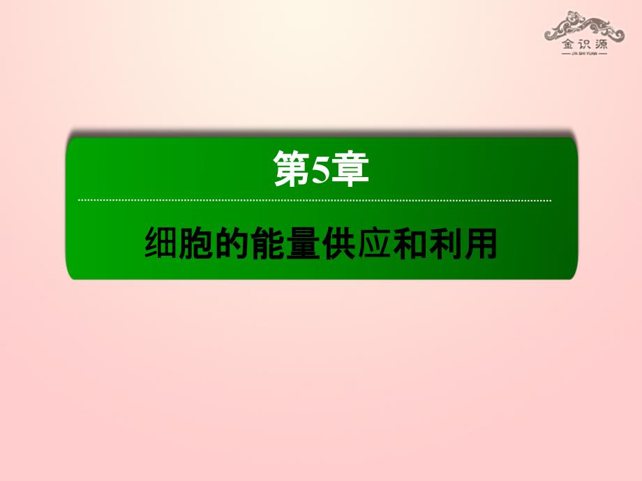 高中生物 5.3 ATP的主要来源 细胞呼吸课件 新人教版必修_第2页