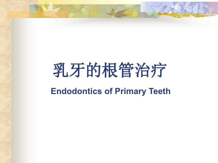 乳牙的根管治疗课件.ppt_第1页