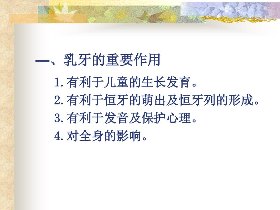 乳牙的根管治疗课件.ppt_第2页