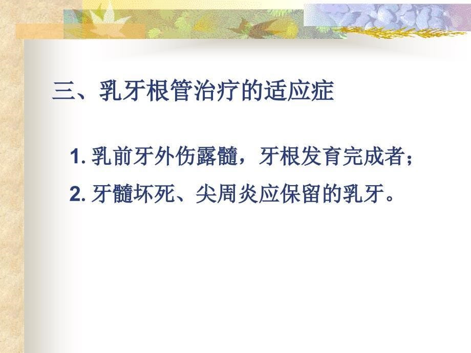 乳牙的根管治疗课件.ppt_第5页